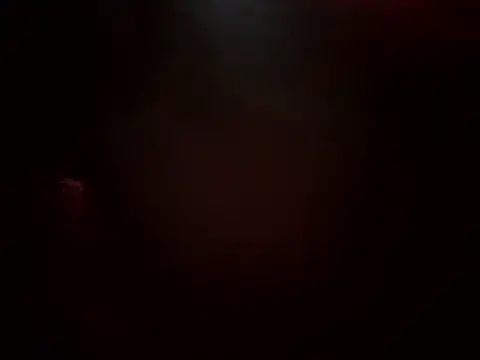 Sarjazmin's cam snapshot