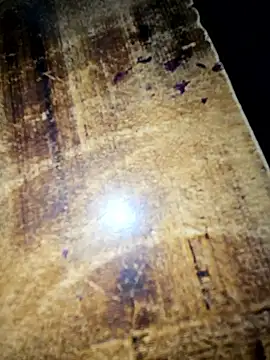 indianhotwife639 live sex cam