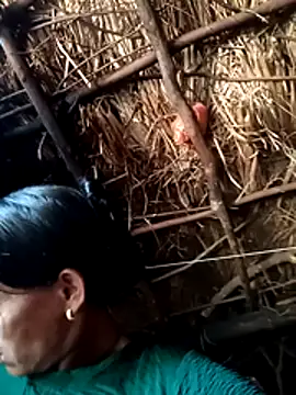 Cutsedi3's cam snapshot