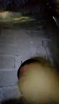 Moreno1813 live sex cam