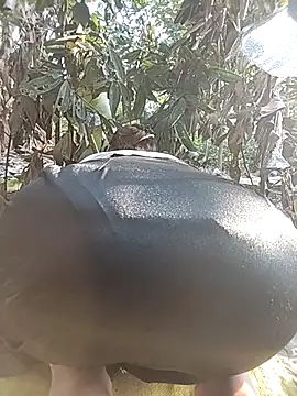 Tin_tanny's cam snapshot