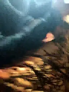 Kalpanaxa's cam snapshot