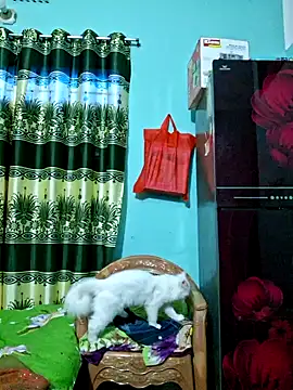 Sumi-roy live sex cam