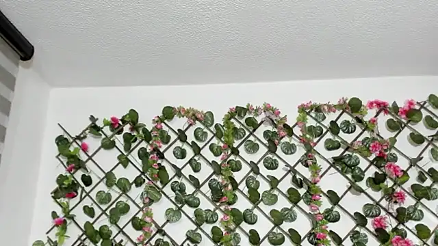 antonella4youu's cam snapshot