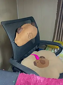 An-An19's cam snapshot