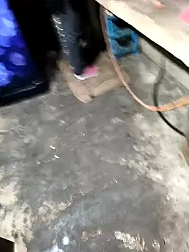 Kalpanaxa's cam snapshot