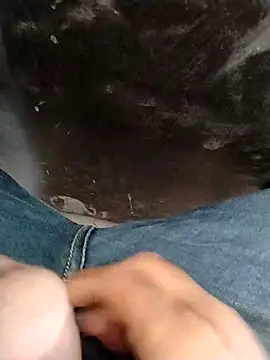 hardi9048 live sex cam