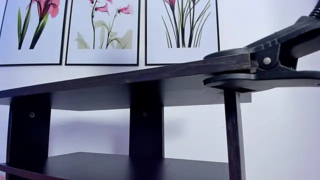 Priscila_Bell's cam snapshot