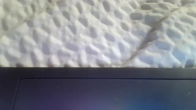 BrainiacBimbo's cam snapshot