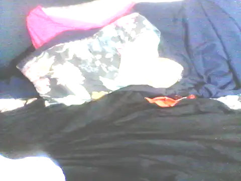 Wanderkid33 live sex cam