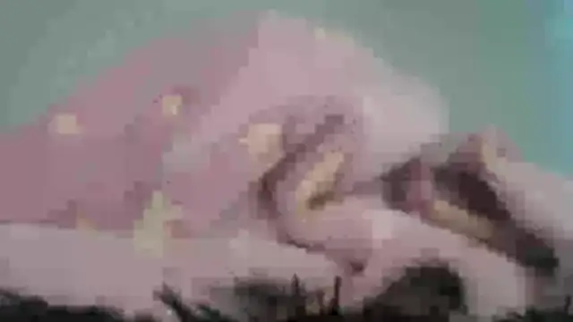 Ternura_X's cam snapshot