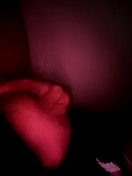 scarimobil live sex cam