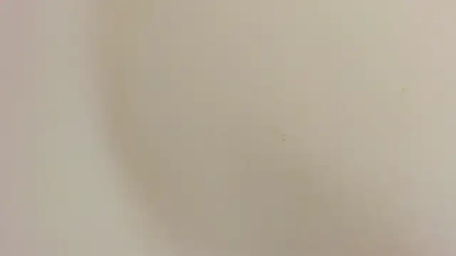 charly_morningstar's cam snapshot