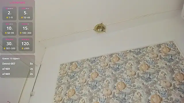 illegal_lorry live sex cam