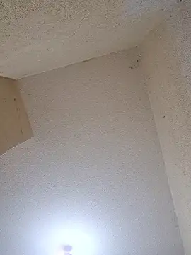 miicheele32 live sex cam