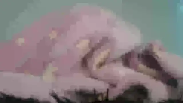 Ternura_X's cam snapshot