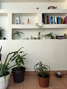 ViolettaSummer live sex cam