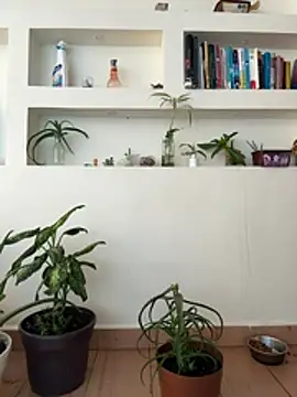 ViolettaSummer's cam snapshot