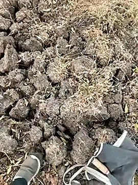 himvilohi08's cam snapshot