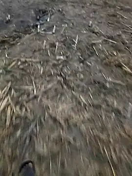 desi_alpha_boy's cam snapshot