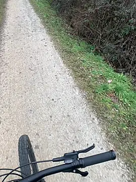 marconordic live sex cam