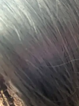 _xiaoxinxin_'s cam snapshot