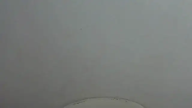 charrysexy1's cam snapshot