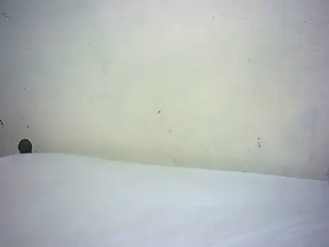 ebony_valleria's cam snapshot