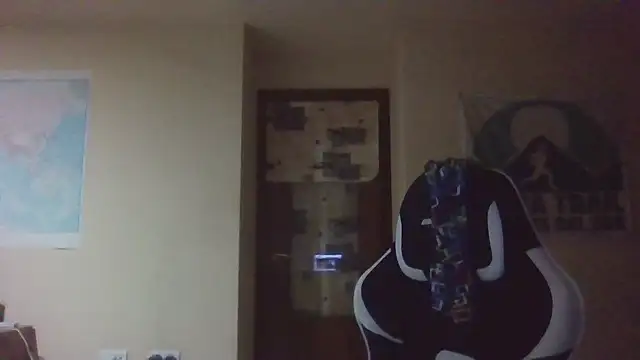 llopaco's cam snapshot