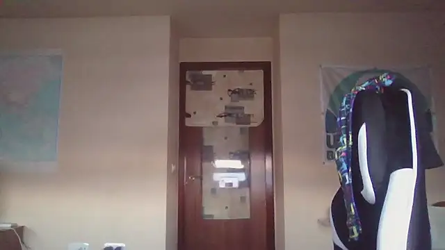 llopaco's cam snapshot