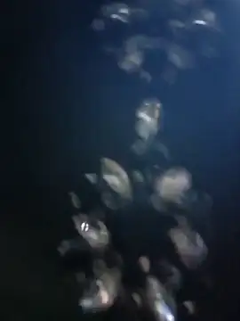 rapunzel069's cam snapshot