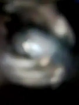 Abhikery live sex cam