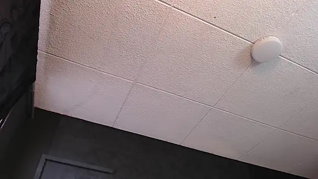 PaulEvens live sex cam