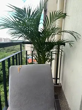 Pretty_Isadora's cam snapshot