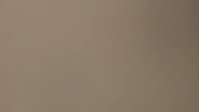 Sara_Collinss_'s cam snapshot