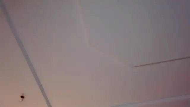 dinnerwithflowers live sex cam