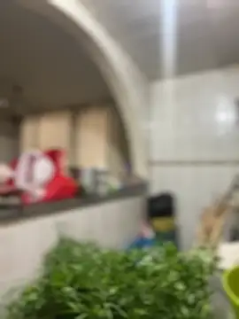 Carola-Ross's cam snapshot