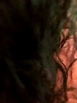 hanni2025's cam snapshot