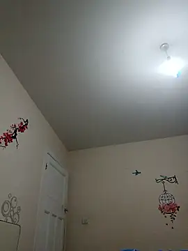 Levarboy's cam snapshot