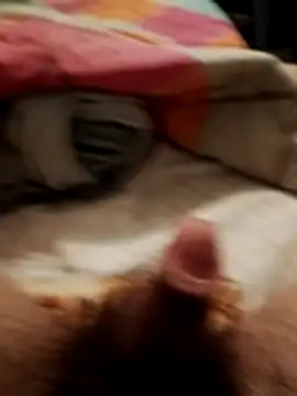 jon763's cam snapshot