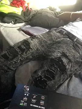 Mr_Sirthedom's cam snapshot