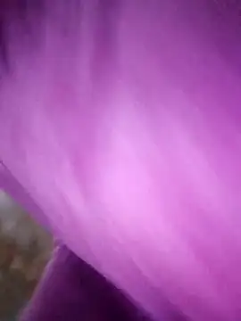 kamita-12 live sex cam