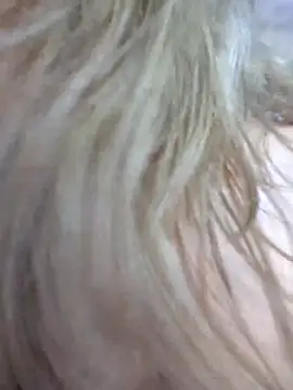 Evehamp live sex cam