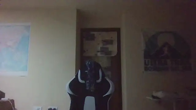 llopaco's cam snapshot