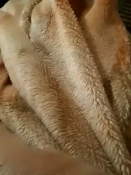 dickyk's cam snapshot