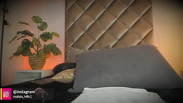 malaia_hills live sex cam