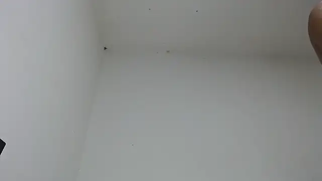 drako_monster's cam snapshot