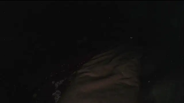 hebe-02's cam snapshot