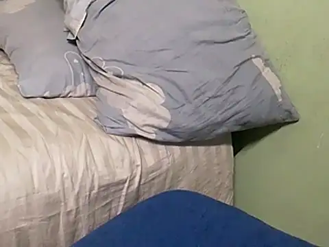 calme_odl1's cam snapshot