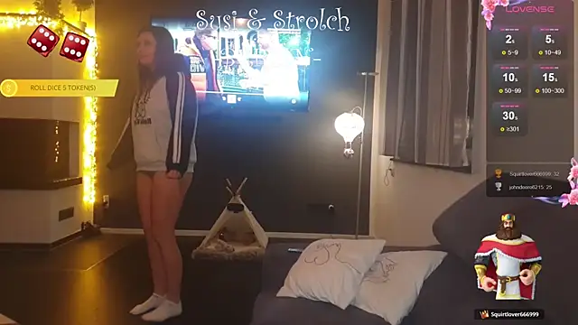 Susi_und_Strolch's cam snapshot